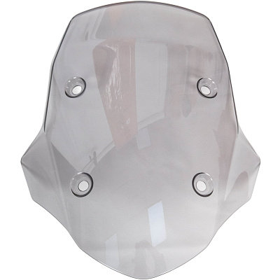 Ветровое стекло GS 250